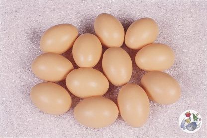 Braune Eier