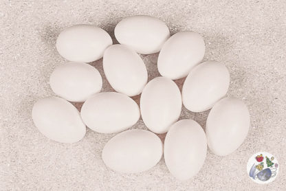 Weiße Eier
